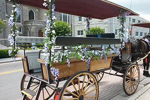 wagon style horse carriage