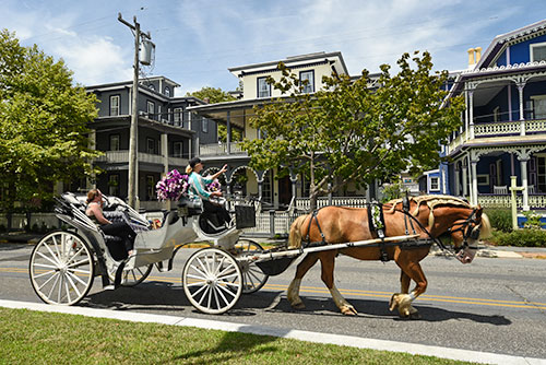 Historic Cape May horse and buggy tours