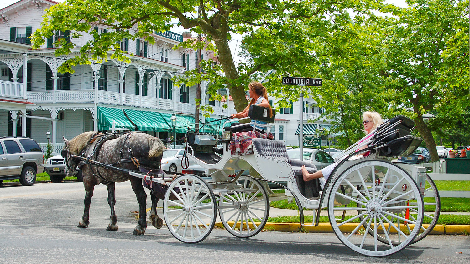 Cape May Carriage Company Historic Horse and Carriage Tours