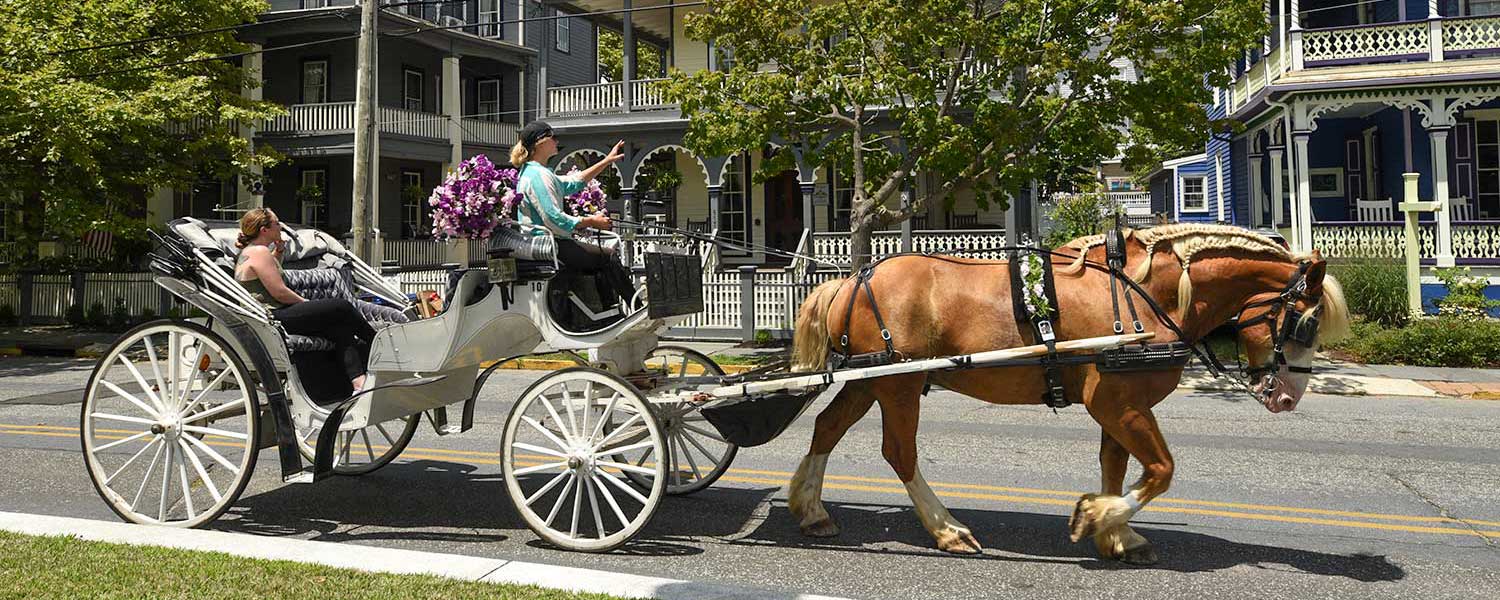 Tours of historic Cape May by Cape May Carriage Company