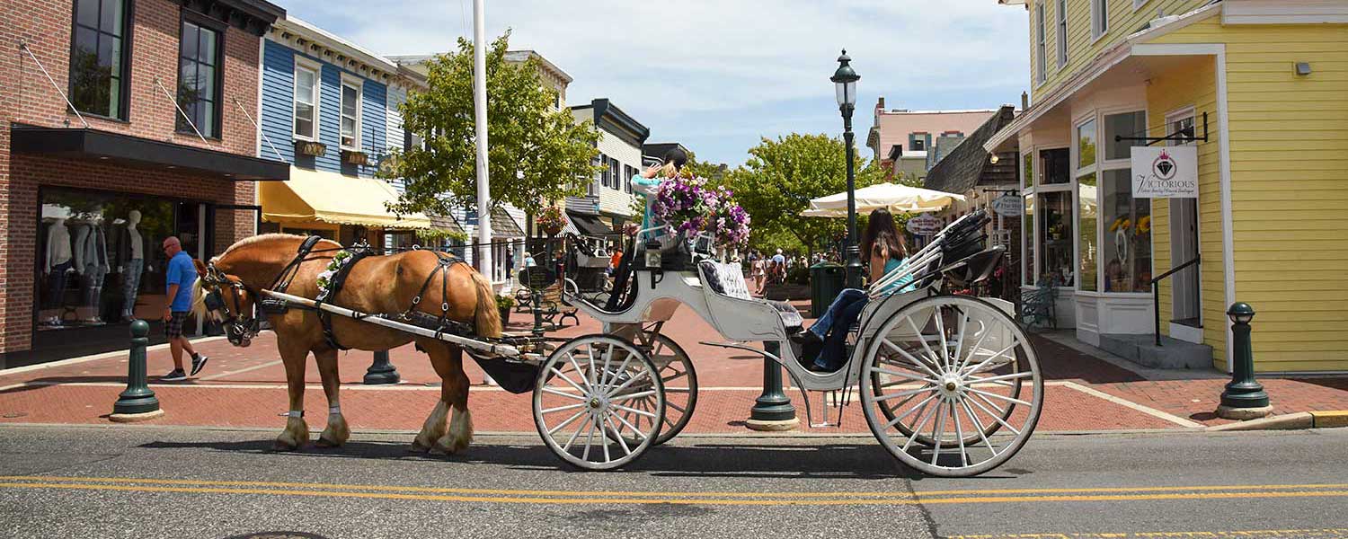 Cape May horse and carriage rides