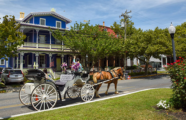 A vis-a-vis carriage drawn by horse walking down Columbia Avenue