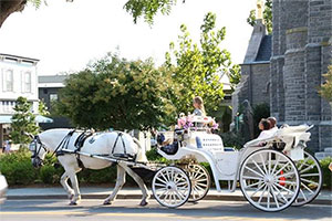 vis a vis horse carriage