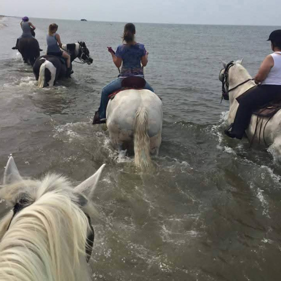 Riders on horseback entering the ocean