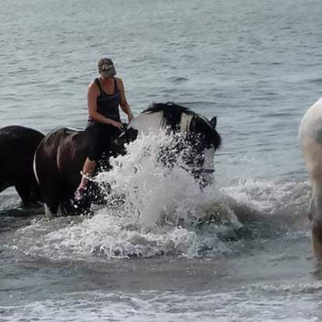 a horse and rider walking through an ocean wave