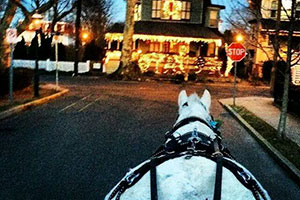Cape May Christmas lights tour by horse carriage